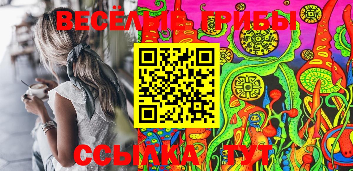 Псилоцибиновые грибы Psilocybine cubensis Мариинск